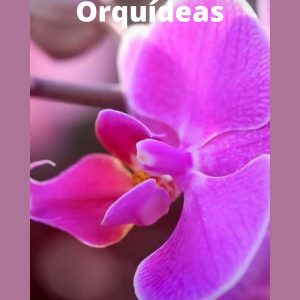 Manual Descomplicando O Cultivo De Orquídeas 2.0